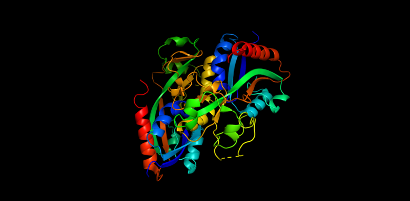 Image:OxyR Movie PyMol0001.png