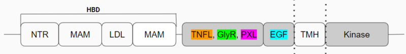 Image:Updated schematic.png