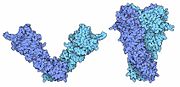 Conformational changes of Hsp90