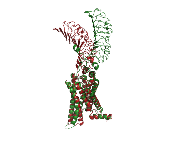 Image:Image-Inactive Inactive Proteopedia.png