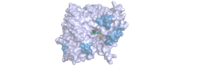 Image of DPPIV