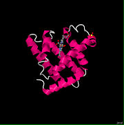 oxymyoglobin 1MBO