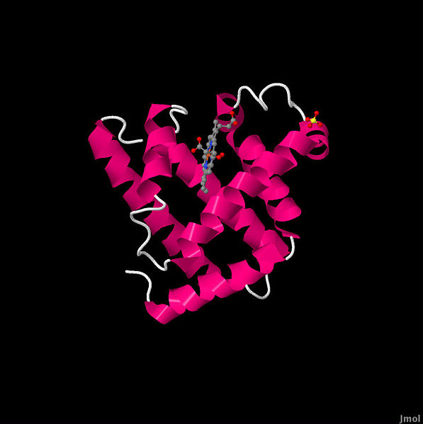 Image:1MBO oxymyo-1.jpg