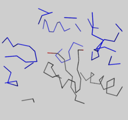 Crystal packing interactions between ADP-bound AP-actin, (grey ribbon) and neighboring residues in subdomain 2 of an adjacent monomer in the crystal within 15 angstroms of the D-loop in the unit cell (blue ribbons). Residues 39-50 are shown in red.