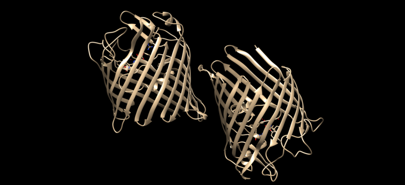 Image:4gcp.png