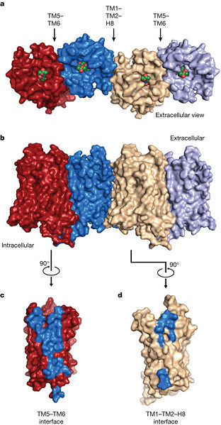 Image:Fig7.jpg