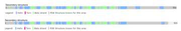Structure of human calcineurin (up) and rat calcineurin (down)