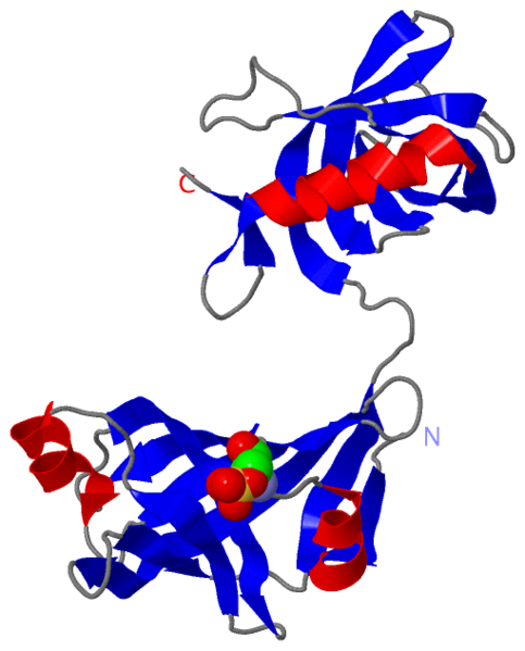 Image:1yln.png