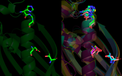 SSM superposition of Them5 (4AE7), Them2 (2H4U) and PaaI (1WM6) on Them4 (4GAH) with the HGG...D...T motif (and its variants) highlighted