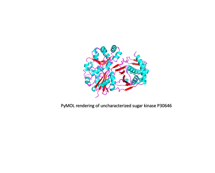 Image:Structure P306464.png