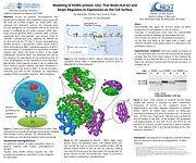 Poster that outlines effect of HCMV on MHC-I, written by Burke, et. al. Based on research performed by Gewurz, et. al.