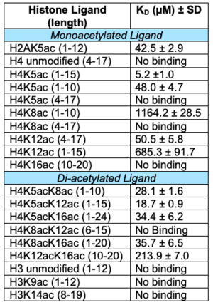 Binding affinities for the ATAD2B bromodomain with histone ligands