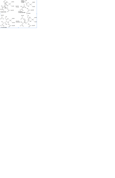 Image:Functionepira.png