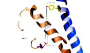 Fig. 14: Distance measurement of GCGR 7TMD Y138-D362 of 19-20 angstroms and labeled with complimentary glucagon interaction residues.