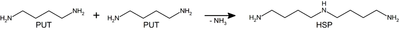 Image:Figure1pahss.png