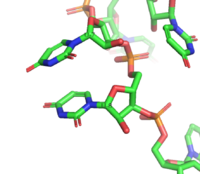 Figure 3. Intramolecular ring stacking of U7 (top) and U8 (bottom)