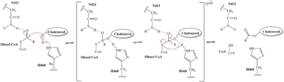 Figure #. Mech