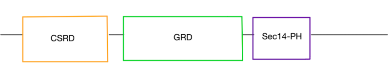 Image:Csrd, grd, secph.png