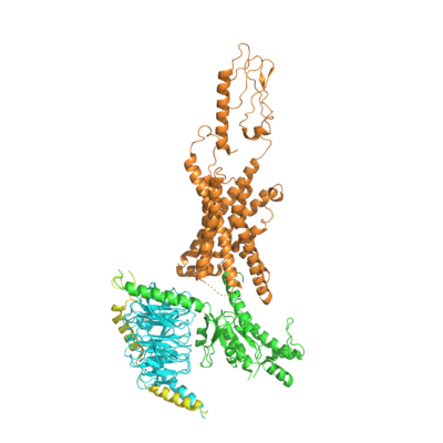 Figure 1. The coolest image of this protein EVAH!!!