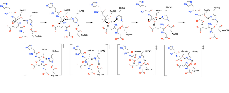 Image:Mech dppiv.png