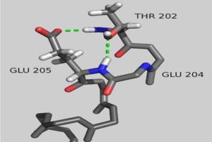 N-terminal capping-box motif in AP-actin α-helix. The backbone is colored in grey. Side chains are in CPK coloring. Dashed green lines denote hydrogen bonding.