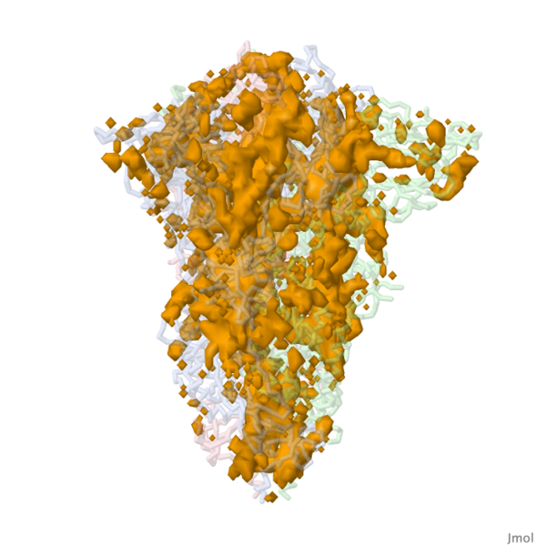 Image:6zgi-isosurface-cavity.pngj