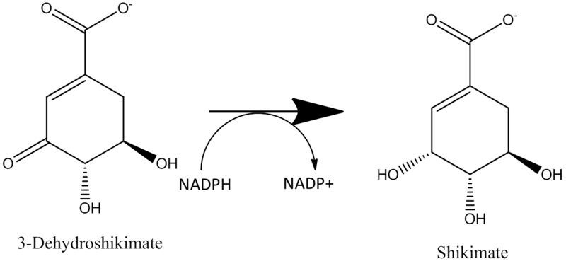 Image:SDH reaction.png