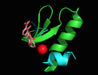 Figure 5: Flexibility of peptide backbone in regions proximal to the active site see through the overlay of chain A residues 269-293 and 324-336 in 3ST6 (green) and 3RV6 (teal) .