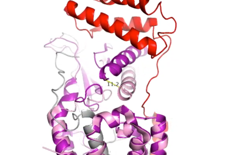 Image:12ang.png