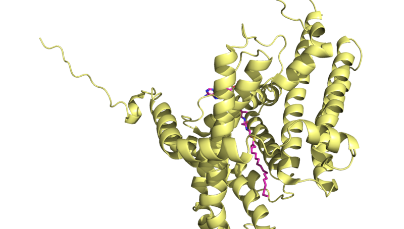 Image:Dgat full molecule.png
