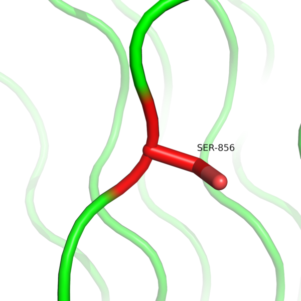 Image:Mutated F856S.png