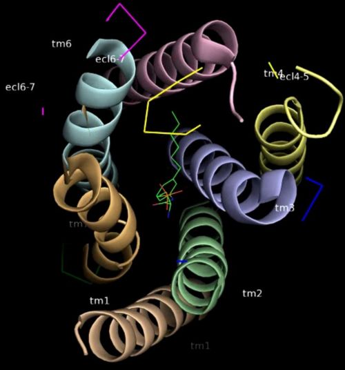 Fig10: Gap between TM-I & TMVI(4).