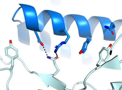Figure 1. The coolest image of this protein's binding site EVAH!!!