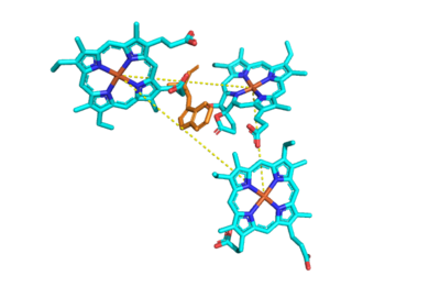 Figure 1. The coolest pic EVER of bd oxidase hemes