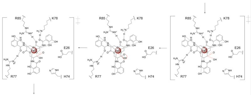 Figure 4. Two transition states.