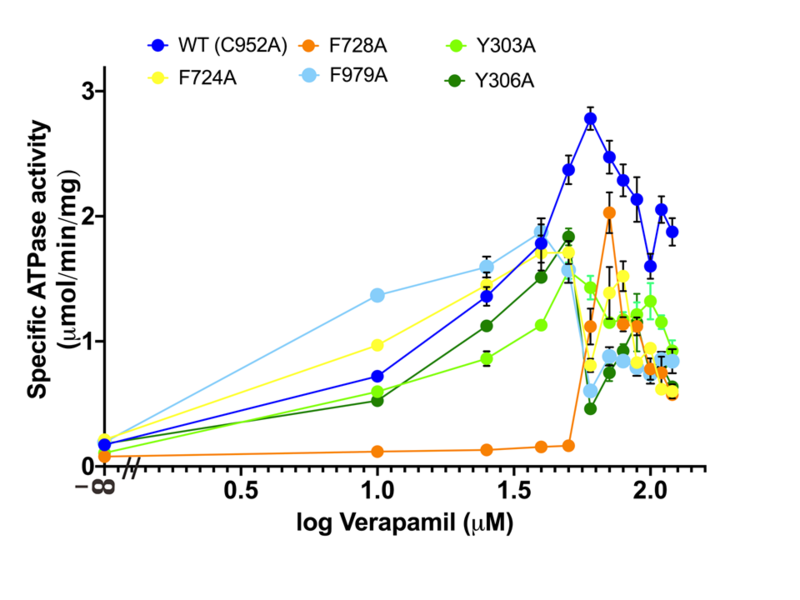 Image:Fig4c444.png