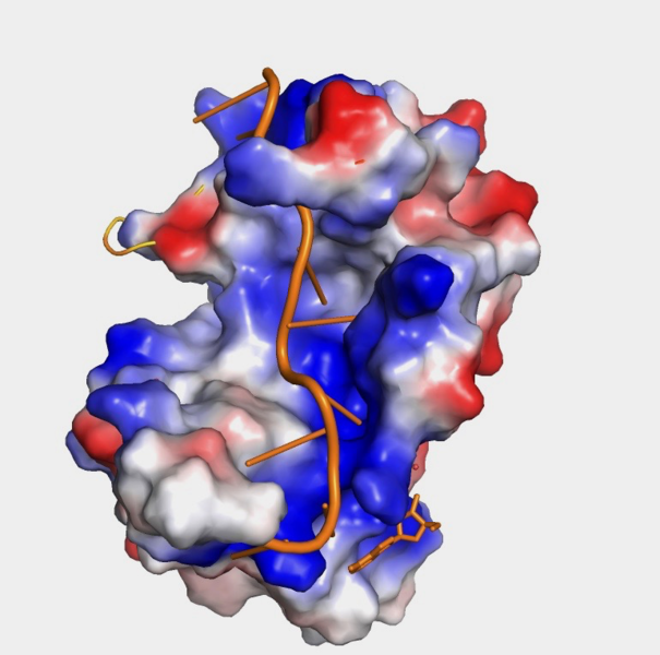 Image:Hydrophobicity (1).png