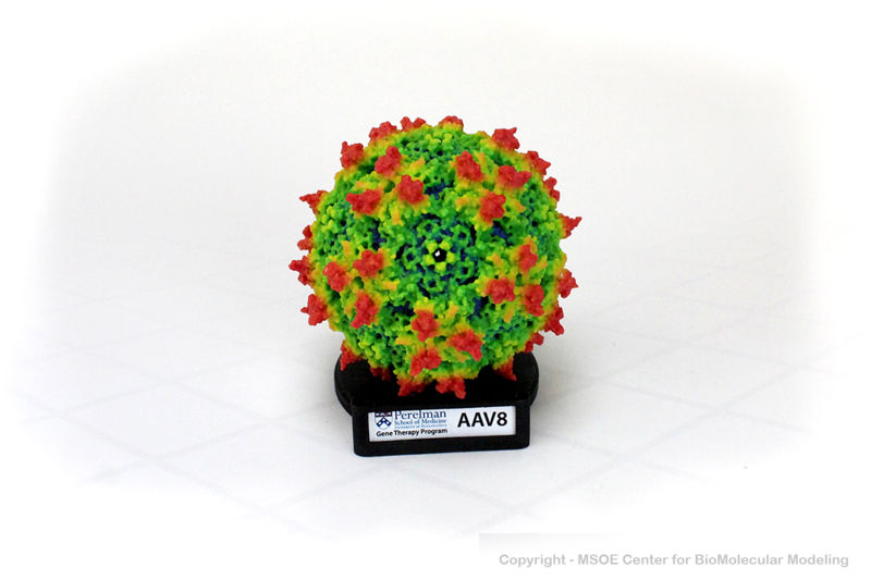 Image:AdenoAssociatedVirus2 centerForBioMolecularModeling.jpg
