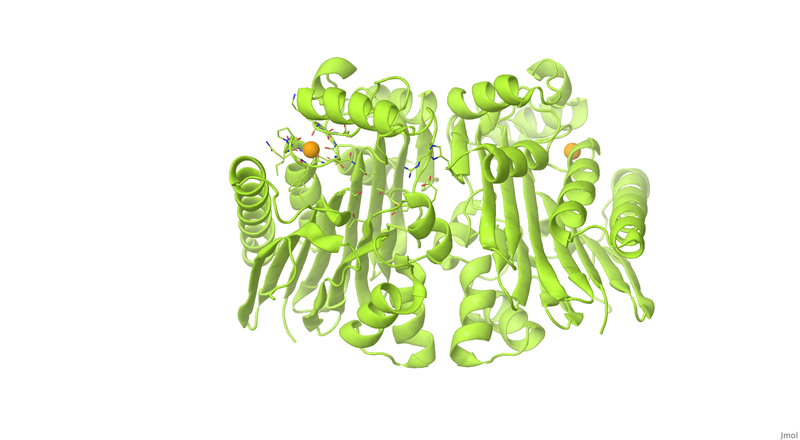 Image:014 Fig 2B.png