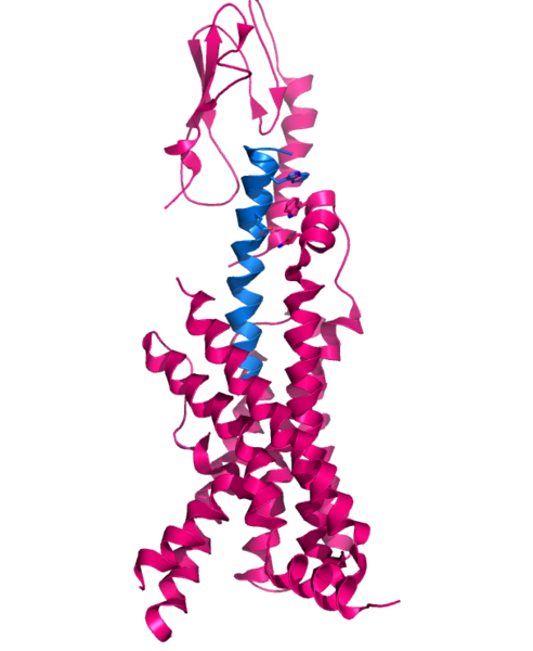 Image:Hormone wholeimage.png