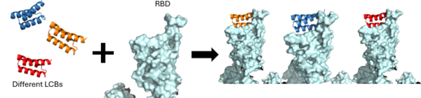 The use of the De Novo protein design to create the LCB1 and LCB3 inhibitors.