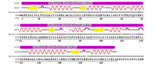 Secondary Structural Elements