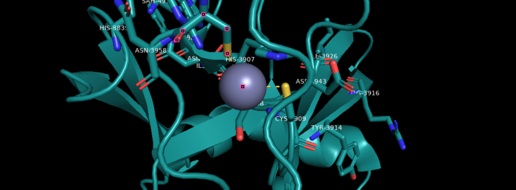 Figure 4. KMT2A SET Domain with the cofactor product S-Adenosylhomocysteine and zinc. 