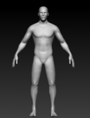 Macromoléculas en tu cuerpo