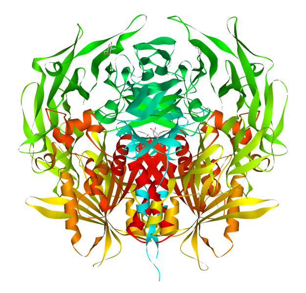 Image:DPP4 structure wiki.png
