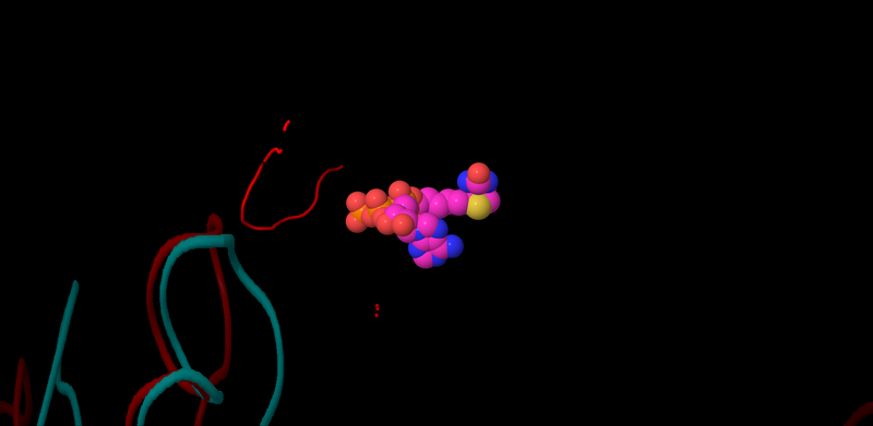 Image:Fig 03c jmol 14p31p8.png