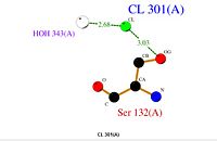 Bond between 3HAF domain and the Ligand Cl-