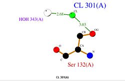 Interaction between the domain 3HAF an the CL-
