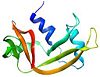 RNase A