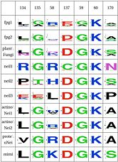 Notice the covariation in Neil1 and the rest with positions 134 and 137 and 170